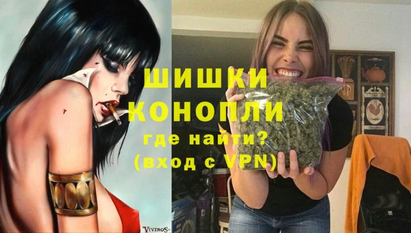 бошки Бронницы